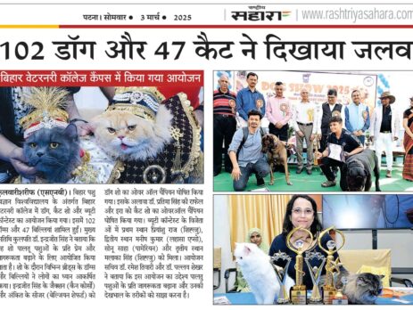 WhatsApp Image 2025-05-05 at 11.03.04